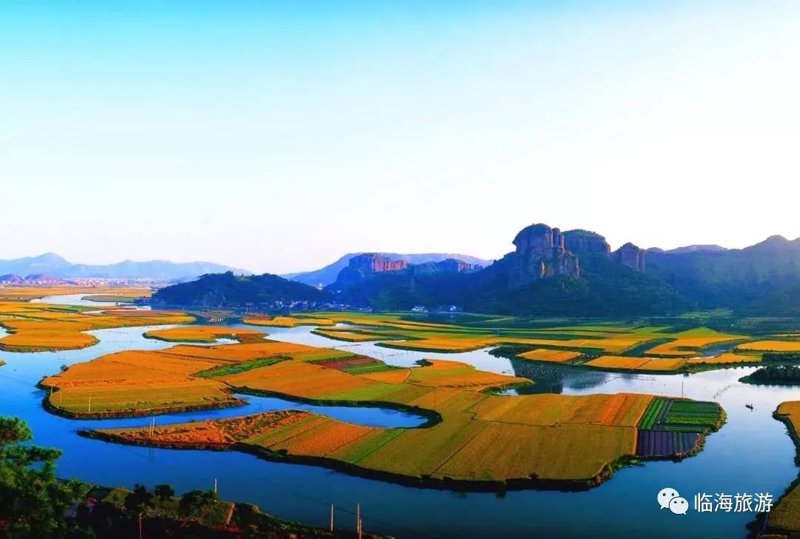 临海水果批发市场,你的新鲜水果采购地?如何选择合适的供应商?