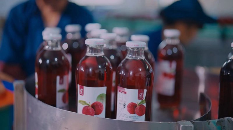如何在家门口享受到最新鲜的蔬菜？